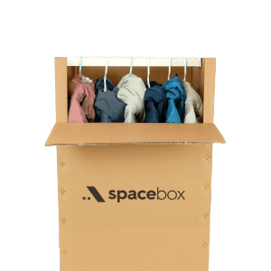 Wardrobe Box